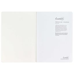 Записная книжка, А5+, арт. 52903/ 15 ШАГРЕНЬ ЗЕЛЁНЫЙ С АРОМАТОМ ЯБЛОКО - Escalada фото 4