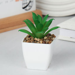 Цветочная композиция Кактус / WER-19 /уп 12/192/ микс - Галеонтрейд фото 16