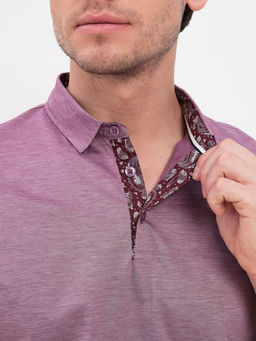 Джемпер мужской с воротником поло короткий рукав GREG G144-PM1246T-LT1635 (бордо)  фото 2