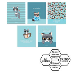 Тетрадь 48 листов в клетку Calligrata Котик Мем, обложка мелованный картон, глянцевая ламинация, выборочный твин-лак, блок офсет МИКС