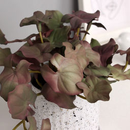 Искусственный цветок в горшке Филодендрон селло ультра (мягкий лист), 15?7 см, МИКС