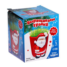 Набор для опытов Выращиваем травку: Дед Мороз - Эврики фото 7