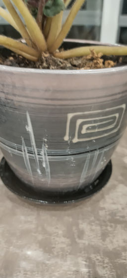 Фиалка Царская особа в керамическом кашпо