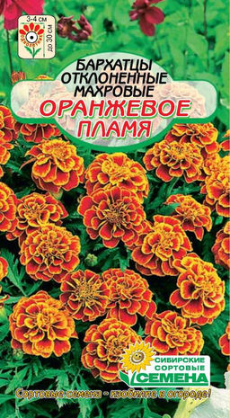 Оранжевое пламя бархатцы 0,3гр (ссс)