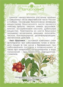 2 шт. Брусника (лист) - Мариславна фото 2