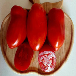 7048T Томат Минкины 5шт