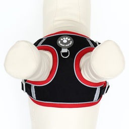 Комплект Sport+, S, поводок 120 x1 ,5 см, ОШ 39-41 см, ОГ 44-48 см, вес животного 7-13 кг, чёрный 9 - Пижон фото 8