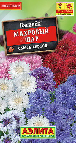 Василек Махровый шар, смесь сортов (2028