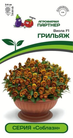 Виола Соблазн Грильяж - Партнер фото 2