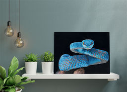 Кристальная (алмазная) мозаика ФРЕЯ ALBP-311 постер Змея 40 х 30 см