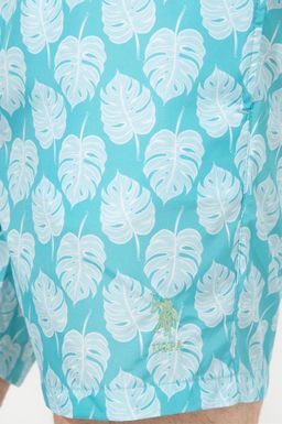 U. S. Polo Assn Мужские мятные шорты для плавания - U.s. polo assn фото 5