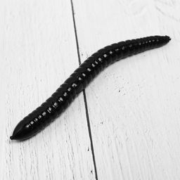 Цена за 12 шт. Липучка Червь