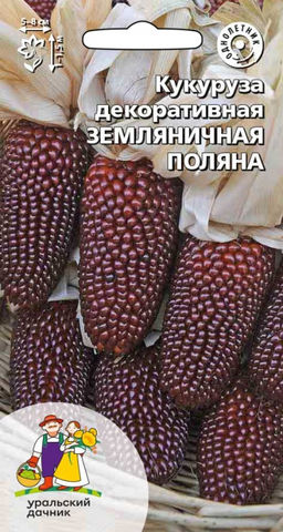 Кукуруза ЗЕМЛЯНИЧНАЯ ПОЛЯНА