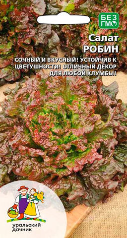 Салат РОБИН  Сочный и вкусный! Устойчив к цветушности! Отличный декор для любой клумбы!