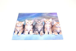 САЛФЕТКА ДЛЯ ОЧКОВ NIKITANA №673 (МИКРОФИБРА)