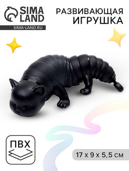 Развивающая игрушка Чёрный кот