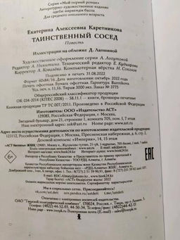 Таинственный сосед