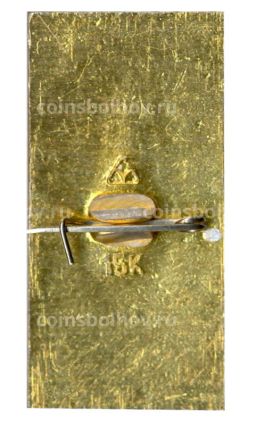 Значок Владимир