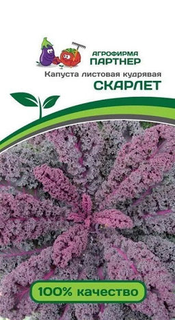 3045P Капуста листовая кудрявая СКАРЛЕТ 0,3гр