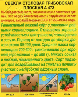 Свекла Грибовская плоская А 473 3г (Аэлита)