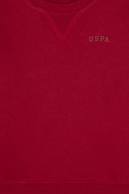 Erkek _ocuk Koyu Frambuaz Bisiklet Yaka Basic Sweatshirt - U.s. polo assn фото 3