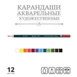 VISTA-ARTISTA Gallery VGWP-12 Акварельные карандаши набор заточенный 8 х 12 цв