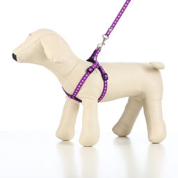 Комплект амуниции Звёзды, поводок 120 х 1 см, ОГ 26-38 см, фиолетовый - Пижон фото 2