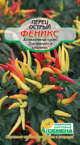 Феникс перец острый декоративный 20шт (ссс) Р