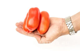 Томат Царское Искушение - Партнер фото 4