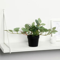 Искусственный цветок в горшке Фиттония, 18?17 см