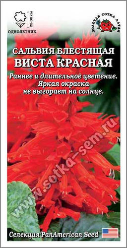 Сальвия Виста Красная 10шт. (Золотая сотка Алтая)