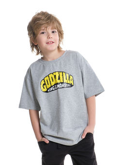 Футболка для мальчика с принтом 22-9015 серый меланж