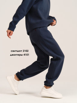 Джоггеры 4101