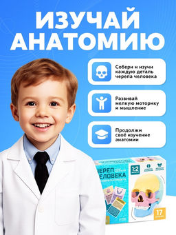 Набор для опытов Череп человека, анатомическая модель - Эврики фото 5