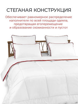 Одеяло Alaska Red Label 175х200 очень теплое ЕС-5553 - Espera фото 3