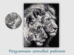 ФРЕЯ PNB/PL-367 Набор для раскрашивания по номерам 50 х 40 см Черно-белые львы