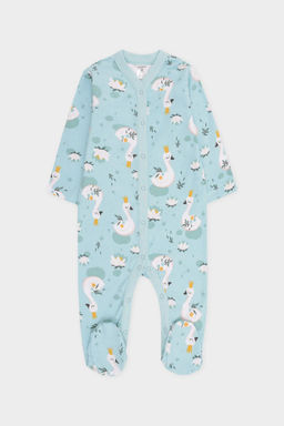 Crockid _ КП 6025/сказочные лебеди на морозном шалфее комбинезон яс