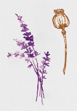 Набор для вышивания PANNA Живая картина JK-2283 Мак и лаванда 5.5 х 12.5 см