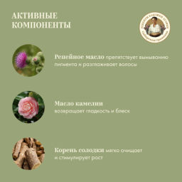 Шампунь для поврежденных и окрашенных волос Укрепление по всей длине. Репейный, 500 мл РБА/ - Рецепты бабушки агафьи фото 5