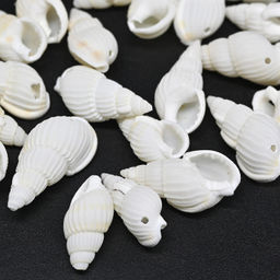 Ракушки природные "Риссоа белая" 8*20мм, 25г Радуга камня