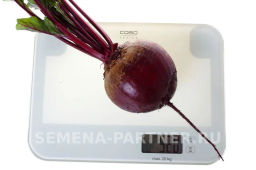 Свекла Двусемянная ТСХА - Партнер фото 2