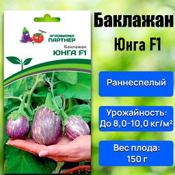 Баклажан Юнга - Партнер фото 5