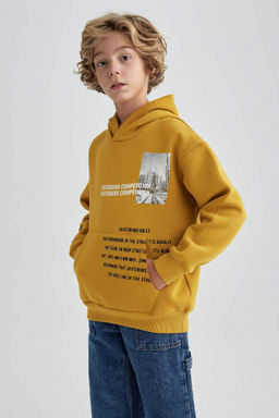 Толстый свитшот оверсайз с капюшоном для мальчика - Defacto фото 6