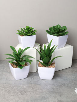 Цветочная композиция Кактус 8-12 см / KL-06 /уп 12/288/ - ГалеонТрейд фото 2