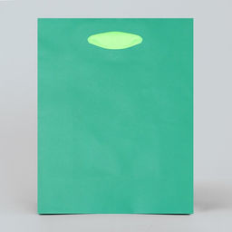 Цена за 2 шт. Пакет подарочный двухцветный, упаковка, «Зеленый-салатовый», S 12 х 15 х 5.5 см