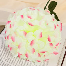 Цена за 2 шт. Цветы искусственные «Герань королевская», 16×60 см, жёлто-розовые