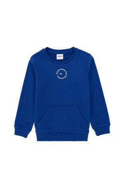 Толстовка Saks Basic для мальчика Неожиданная скидка в корзине - U.s. polo assn фото 8