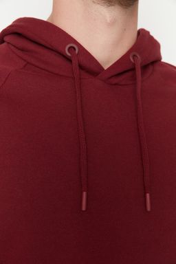 TRENDYOL MAN Gri Regular/Normal Kesim Kapusonlu Ici Polar/S?cak Tutan Sweatshirt TMNAW23SW00194 - Trendyolmilla фото 24