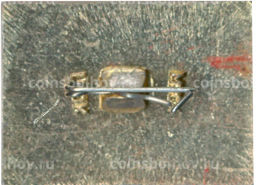 Значок Дом-музей первого совета рабочих и депутатов