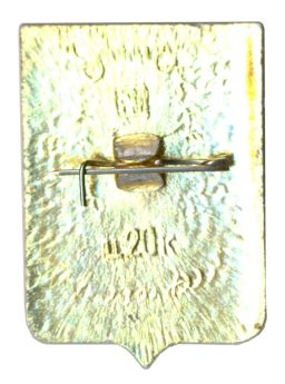 Значок Солигалич